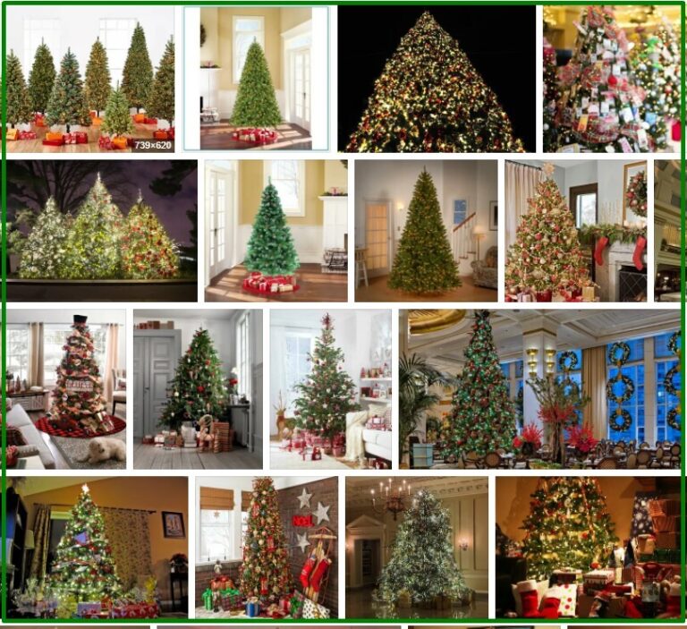Big Lots Christmas Trees **2021 Tree Types
