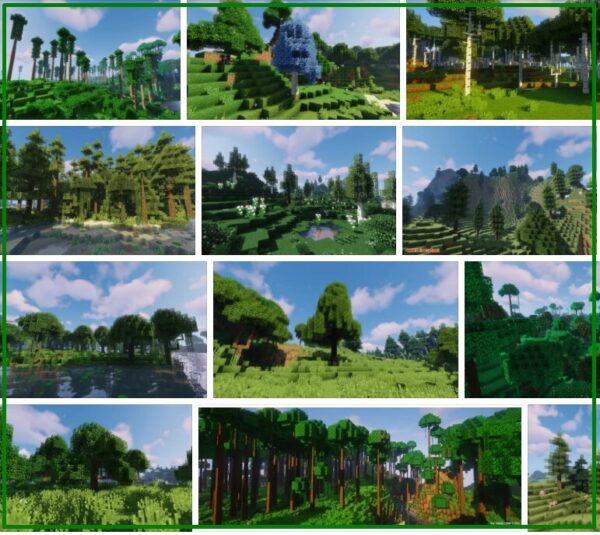 Dynamic Trees - Mods - Minecraft 