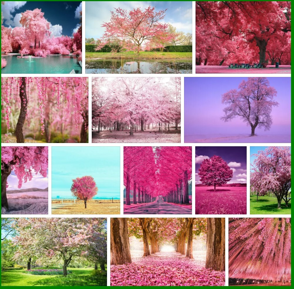 Pink Trees, Animal Crossing and New Horizons | Tree Types