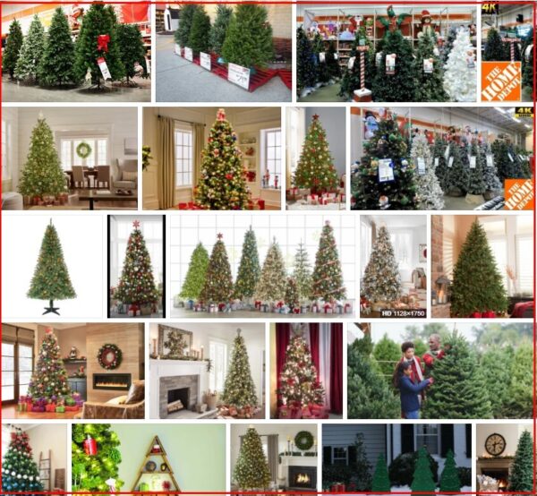 Home Depot Christmas Trees **2021 