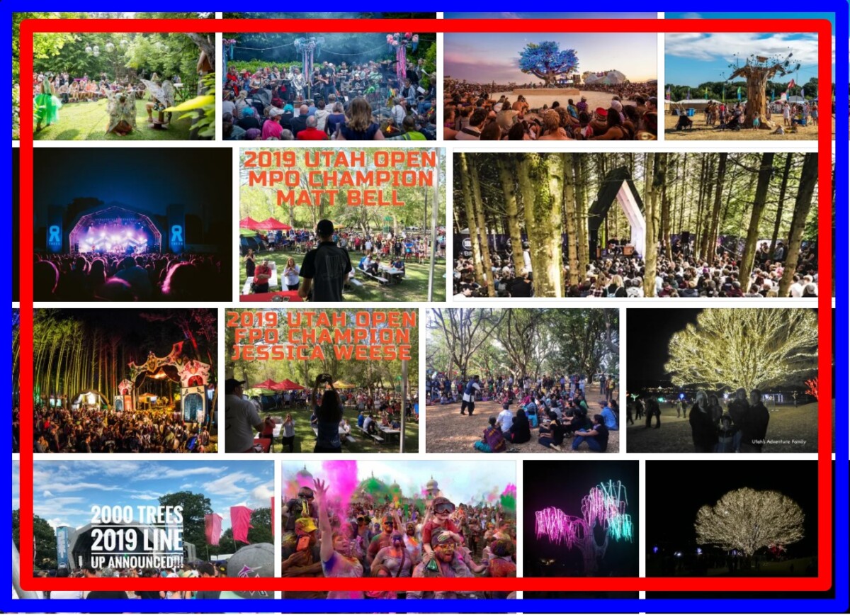 Festival Of Trees Utah 2019 | Tree Types