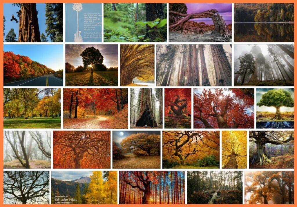 When Great Trees Fall, What is a theme of the poem when great trees ...